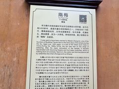 -天台山景区