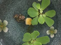 -茂业百货(东门店)