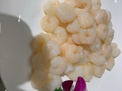 清炒太湖河虾仁-高老庄绿色传奇(昊元生活广场店)