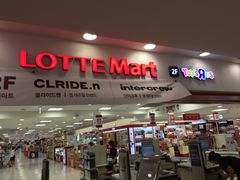 -乐天超市(蚕室店)