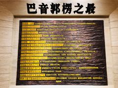 -巴音郭楞蒙古自治州博物馆