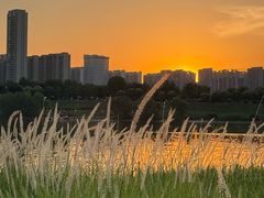 -咸阳湖景区