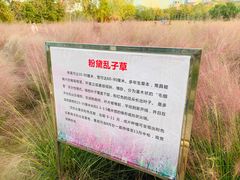 -艾溪湖湿地公园