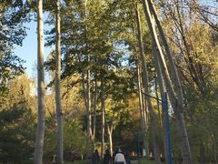 -森林公园(尖草坪区)