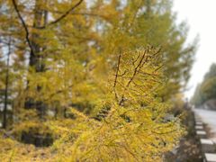 -白草畔自然风景区