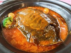 潮汕甲鱼-粤香楼(新光里店)