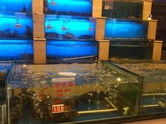-东方之珠海鲜酒楼(南开店)