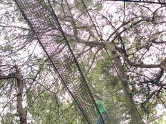 -芦仙山景区-飞越丛林探险乐园