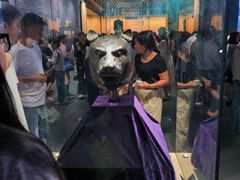 -广西壮族自治区博物馆