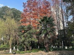 -苏州河梦清园环保主题公园