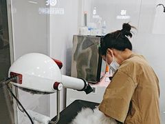 -爱洗澡的猫(天河路店)