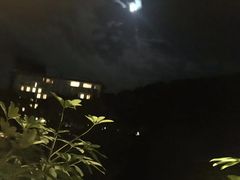 -全日本空输株式会社(上海办事处)