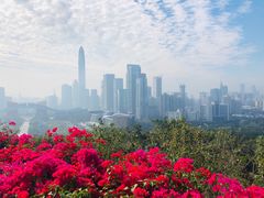 -荔枝公园-小平画像广场