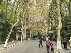 -灵谷景区