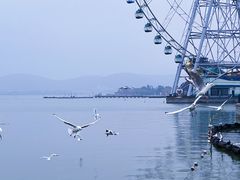 -蠡湖大桥公园