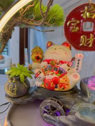 -十三美学·半永久纹眉纹唇·野生眉