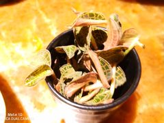-舒友海鲜姿造(白鹭洲店)