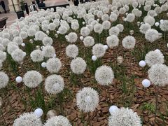 -京津佛罗伦萨小镇