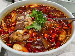 -蝶园·装修中(BFC外滩金融中心店)