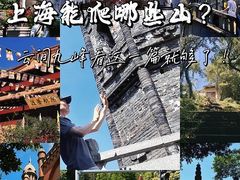 -上海佘山国家森林公园西佘山园