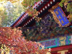 -香山公园