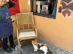 -猫岛主趣味餐厅(鼓浪屿店)