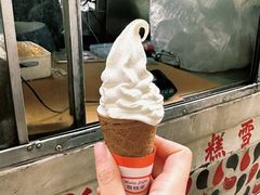 -富豪雪糕车流动点(尖沙咀店)