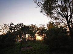 -东郊湿地公园