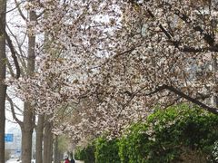 -天坛东门(地铁站)