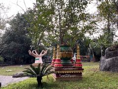 -瑞丽独树成林风景区