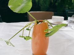 -野蔓果·山野菜(西湖景区·龙井茶田店)