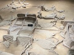 -洛阳周王城天子驾六博物馆