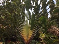 iphone_upload_pic-柬埔寨国家博物馆