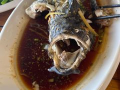 -蓝湾碧波·老字号·疍家非遗海上餐厅