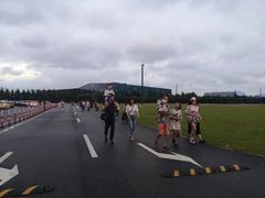 -迪士尼乐园停车场