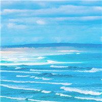 -薇兰专业脱毛连锁机构