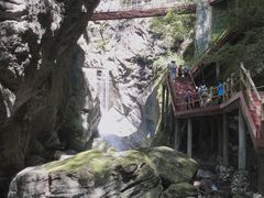 -牛背梁国家森林公园