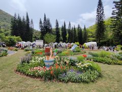 -深圳仙湖植物园