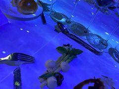 -成都钓鱼台精品酒店-品聚·成都餐厅