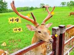 -良渚古城遗址公园
