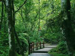 -西岭雪山大飞水景区