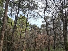 -虞山风景区