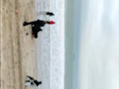 -西涌国际滨海旅游区