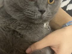 -宠颐生汉谟拉比宠物医院