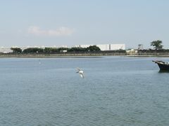 -南沙十九涌渔人码头-南门