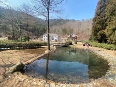-四明山国家森林公园