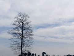 -云漫湖生态度假公园