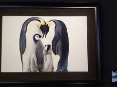 -罗红摄影艺术馆