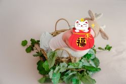点击看大图 -金色童年新生儿满月摄影(包头店)
