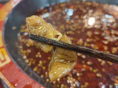 -烧哥美蛙肥肠鱼火锅·十五年社区店